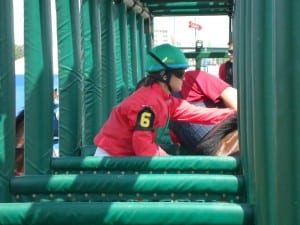 They're in the gate!  Photo by Teresa Genaro.