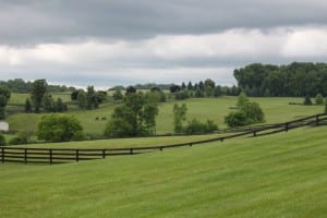 Woodslane Farm. Photo by Nick Hahn.