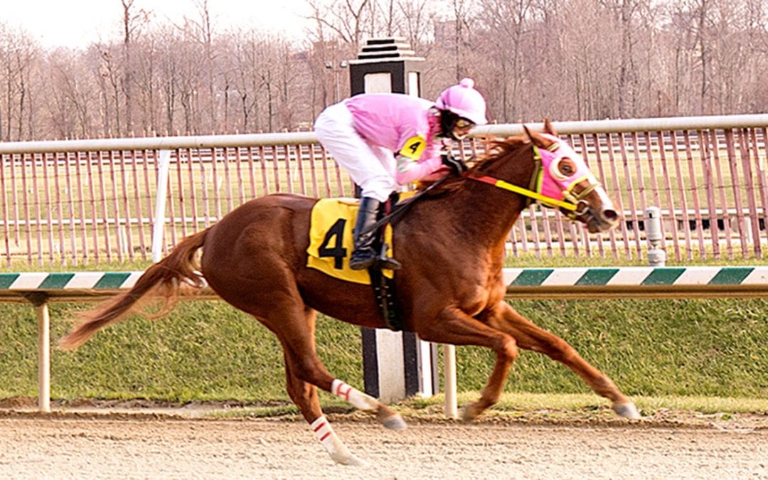Espinoza: Stellar Wind “very, very strong”
