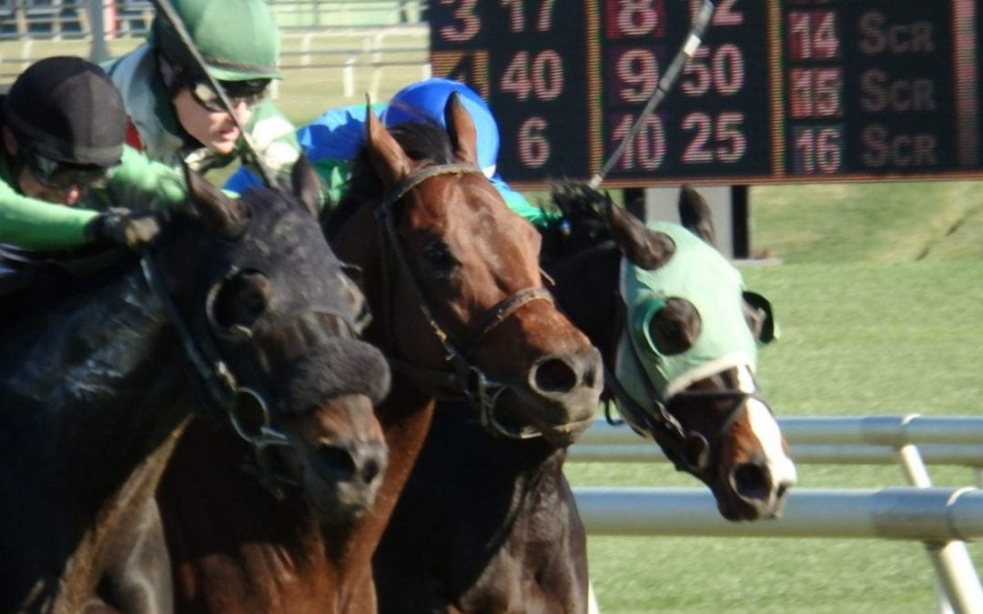 Laurel Park to race Mondays in the fall