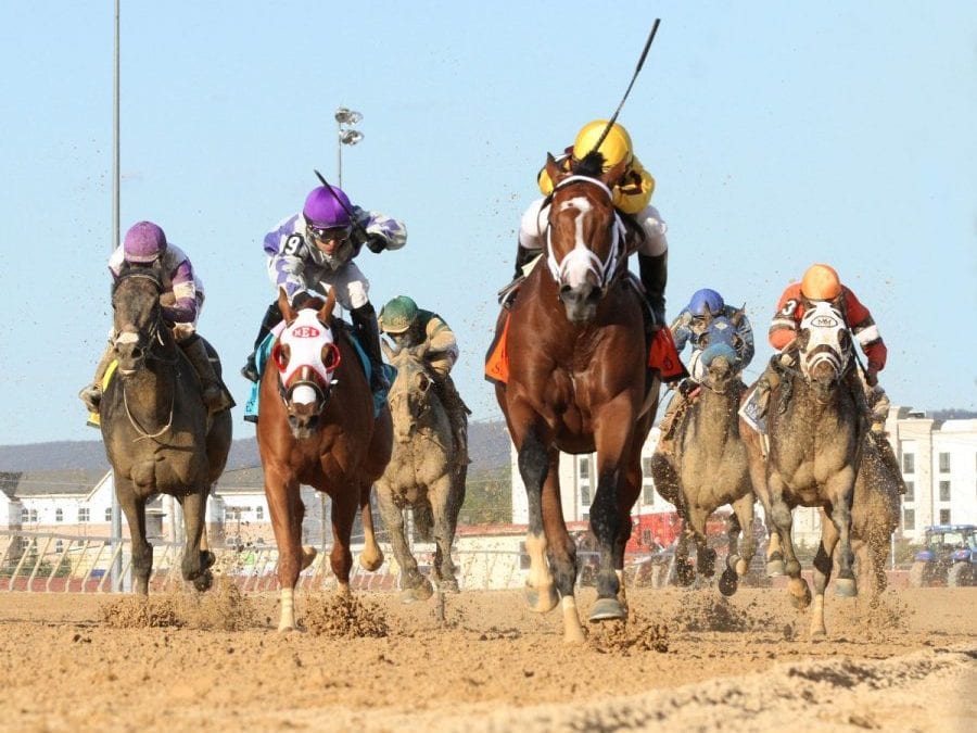 Charles Town Classic: No risk, big reward with $1 million pool