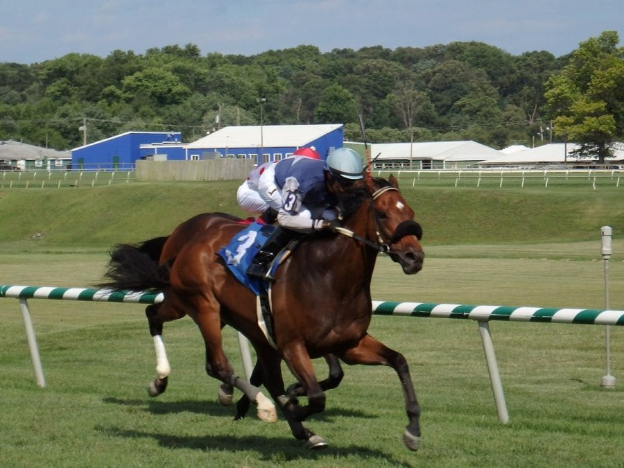 Graded turfers Ghost Hunter, Ring Weekend clash in Henry S. Clark