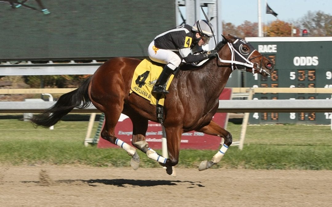 True Sweetheart gives Uptowncharlybrown first winner