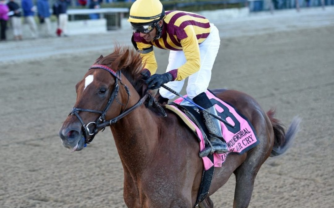 NJ-bred Irish War Cry gets nod as Belmont favorite