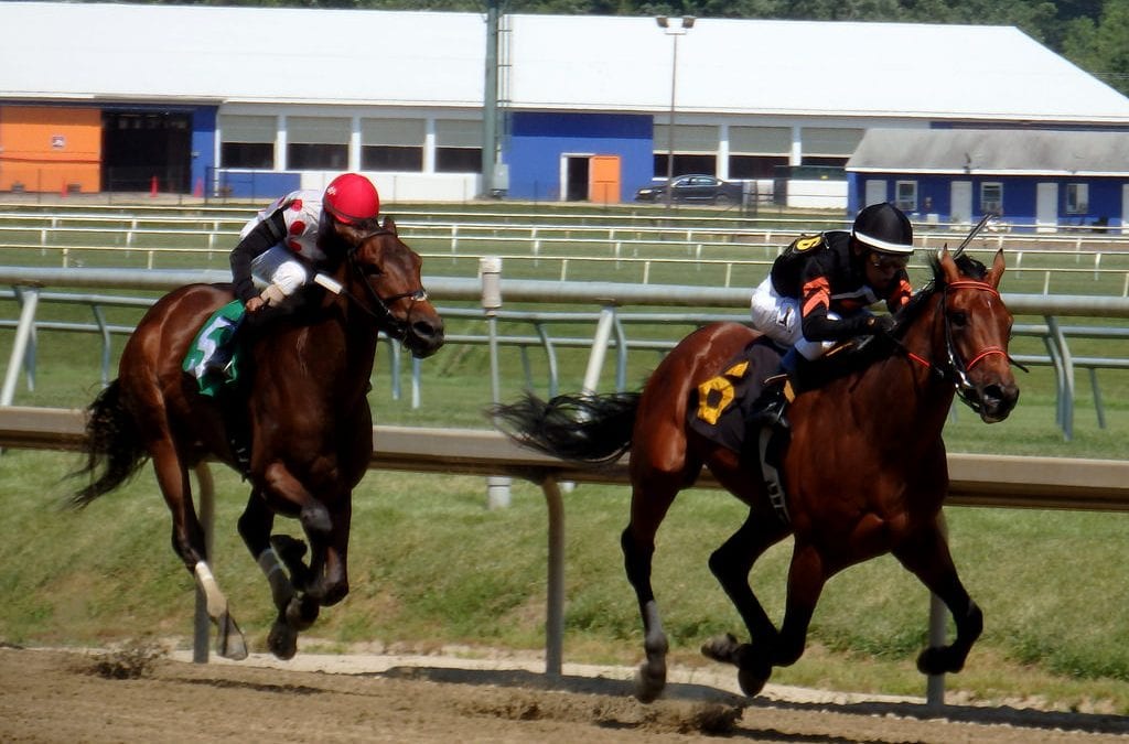 Laurel Park Racing Notebook, Vol. 1