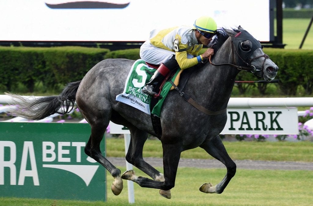 Motion stalwarts Ascend, Irish War Cry well following G1 efforts