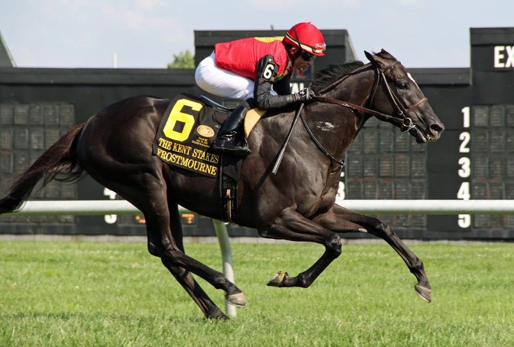 DelCap undercard: A star is ‘mourne