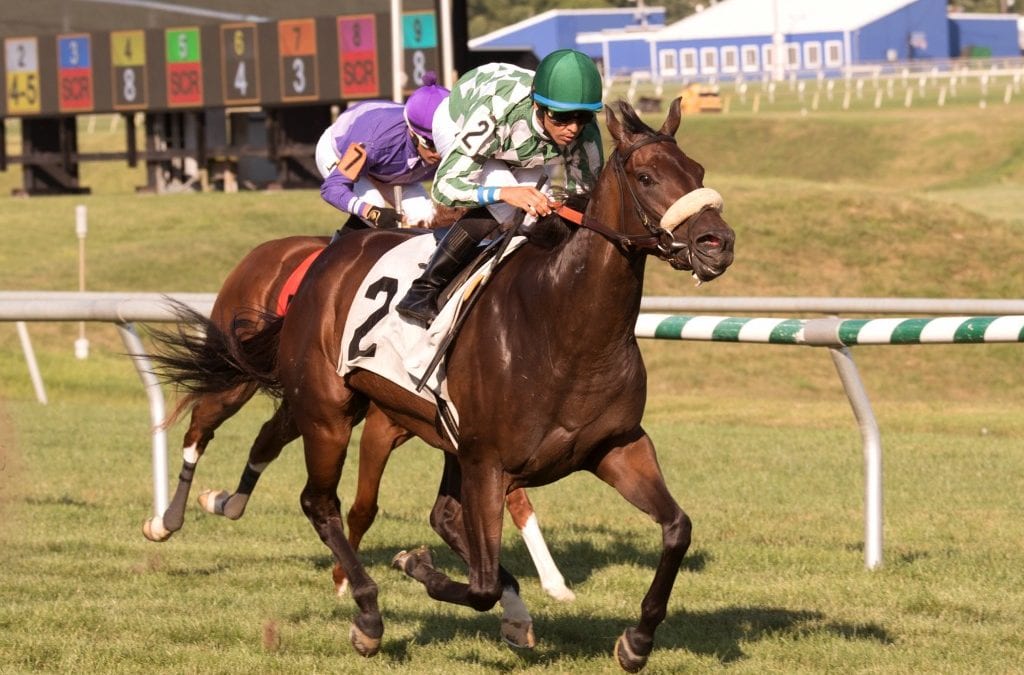 Morticia knocks ’em dead in Stormy Blues win