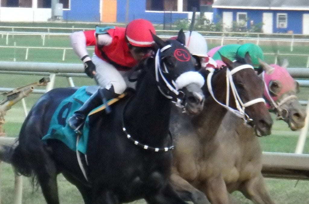Laurel Park Racing Notebook, Fall Meet Vol. 2