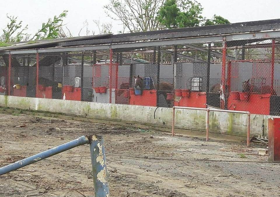 At Camarero, a “chaotic” situation, and murky future