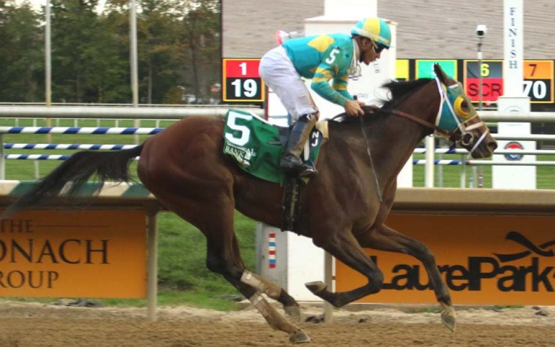 Bonus Points looks to get back on track at “home track”
