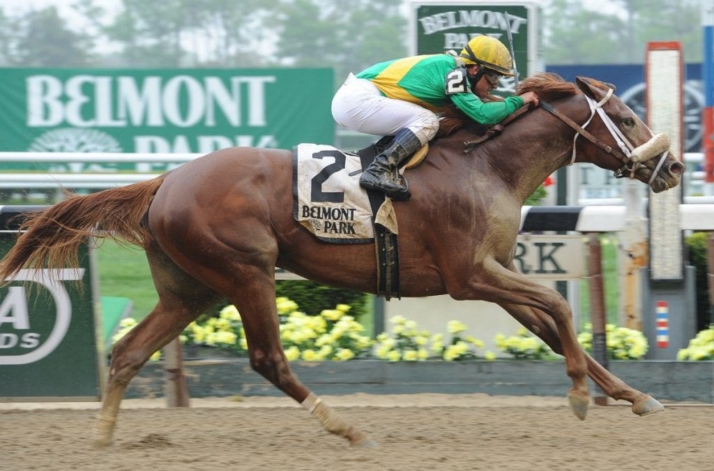 Millionaire Madefromlucky to stand at Northview-Maryland