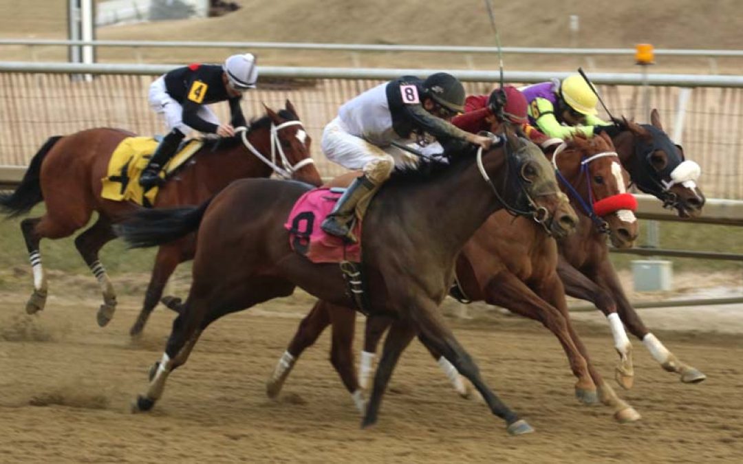 Timeless Curls set for stakes debut