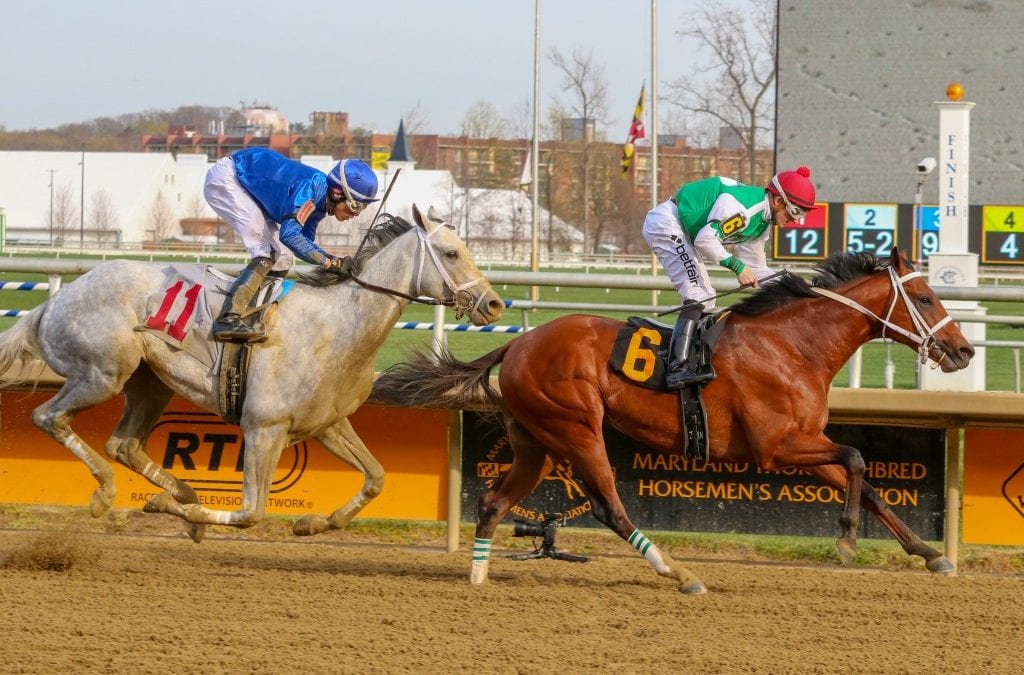 Tesio Stakes win makes Diamond King Preakness-bound