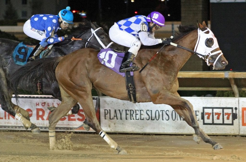 Noblame springs Fancy Buckles upset