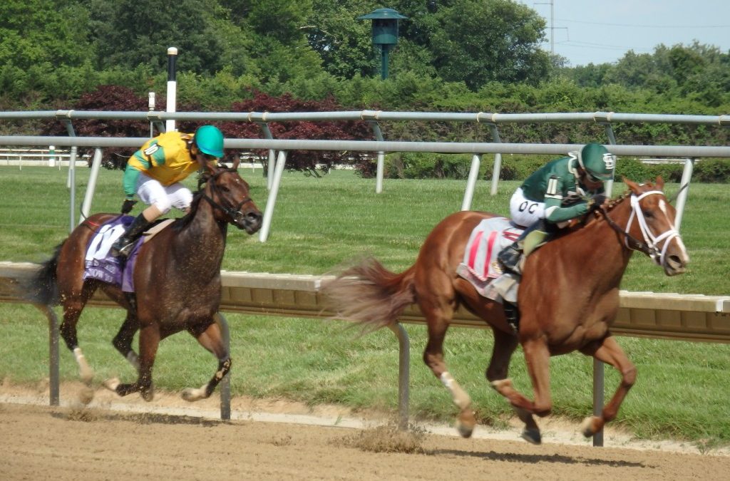 Picks are live for FREE weekend handicapping contests