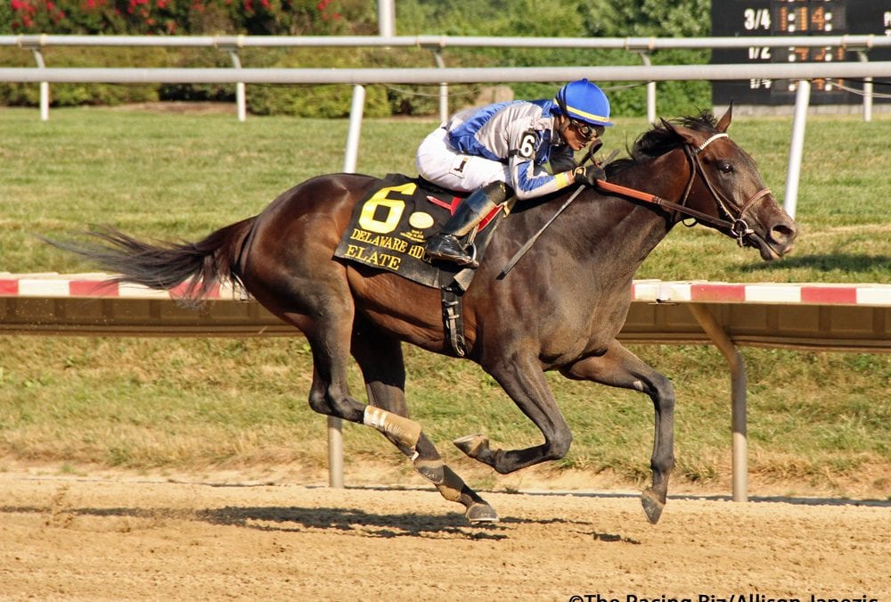 Elate returns from layoff to dominate Delaware Handicap