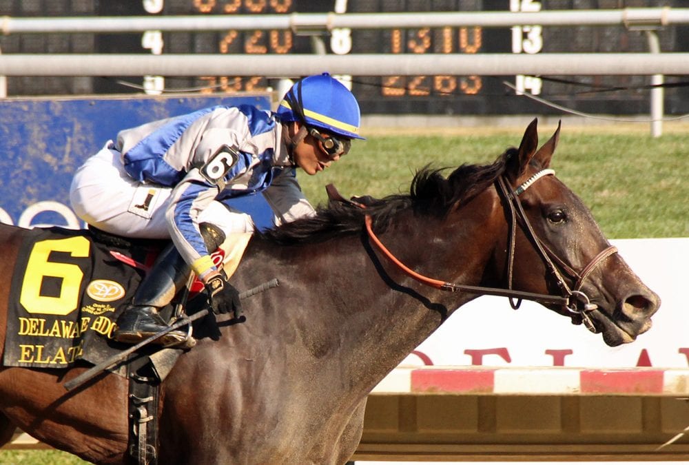 Delaware Park Racing Notebook 2018: Vol. 15