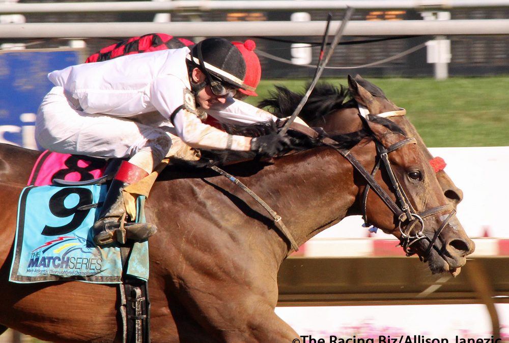 Four races that have defined the MATCH Series
