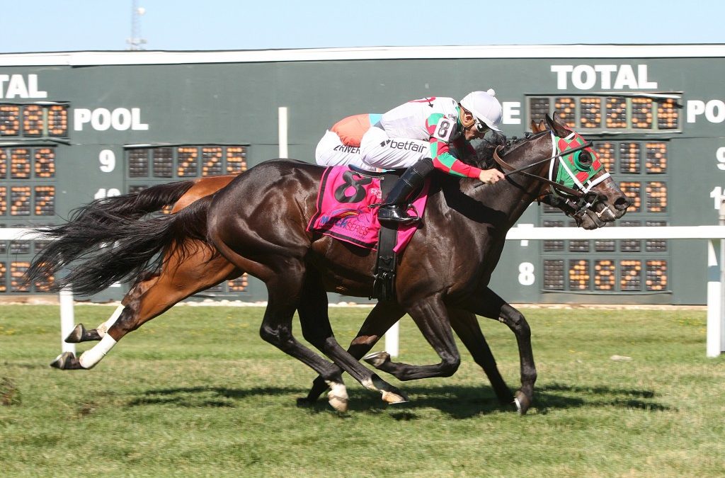 MATCH Series: Smiling Causeway, Vision Perfect score in turf sprints