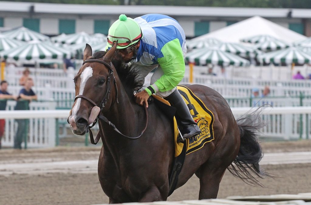 MATCH: In-foal Amapola storms to Incredible Revenge win