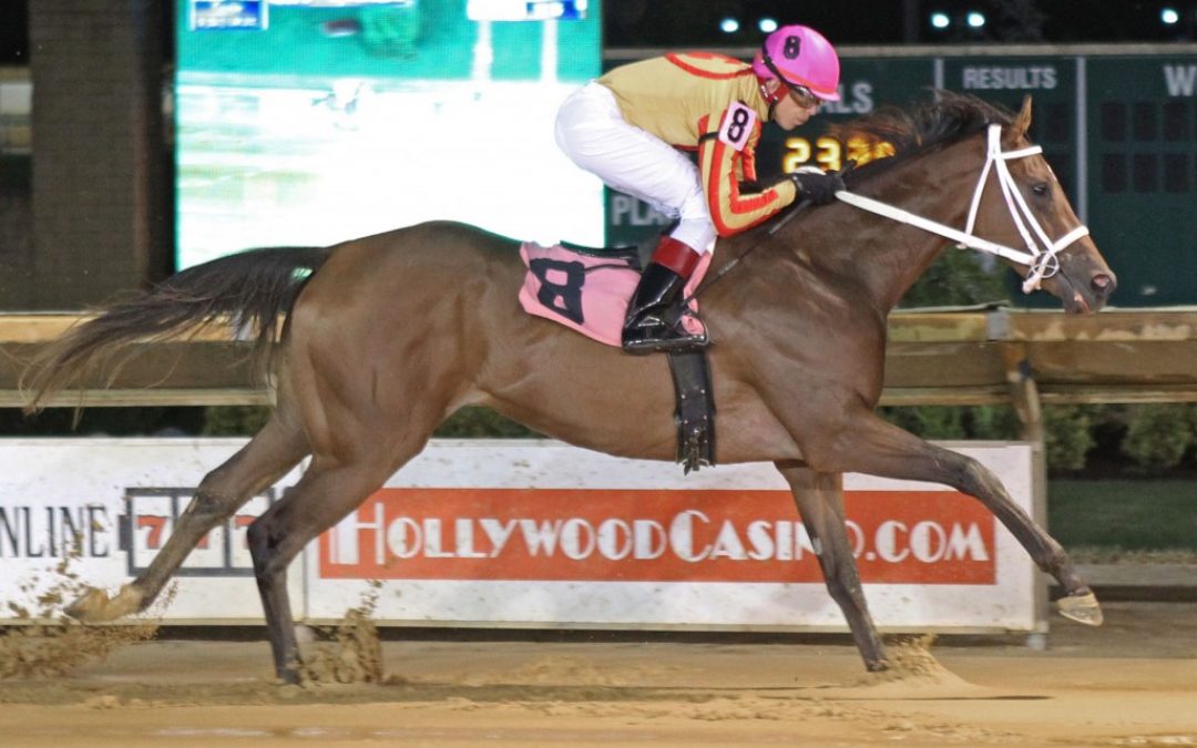 Parisian Diva dominates in Eleanor Casey Memorial