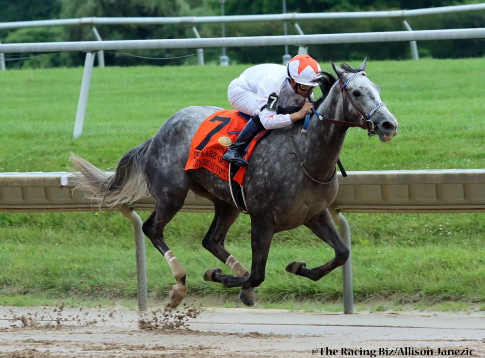 Delaware Park picks and horses to watch: June 8 * The Racing Biz