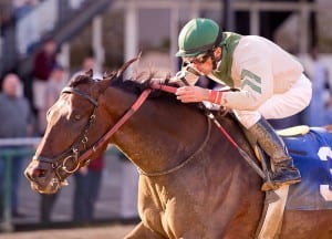 Abstraction takes the Tesio.  Next stop, the Preakness?  Photo by Jim McCue, Maryland Jockey Club.