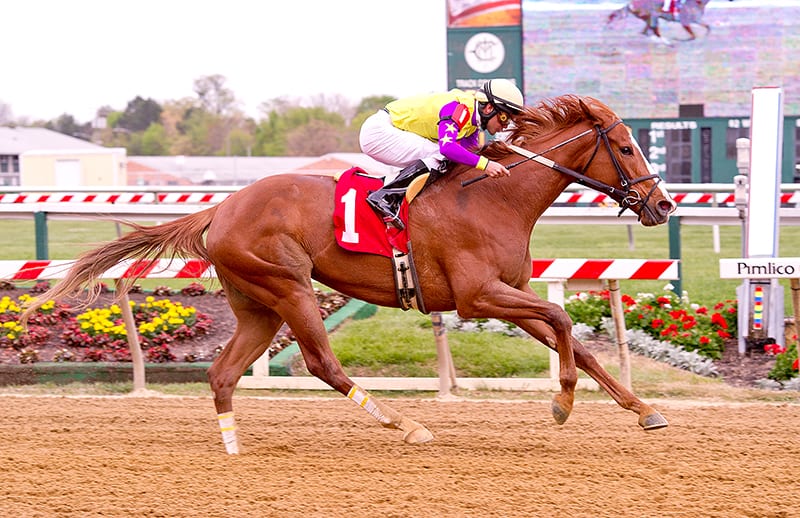 Trio of stakes bolster Pimlico Saturday card