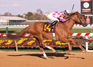 Eighttofasttocatch rolls in the Henry S. Clark.  Photo courtesy of Maryland Jockey Club.