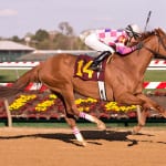 Maryland Million notebook: Robb aiming for juvenile sweep