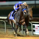 Eighttofasttocatch and Joint Custody strike a blow for Maryland-breds