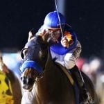 Penn National recognizes season leaders
