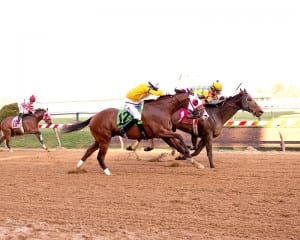 Xavier Perez and Spicer Cub with one last try at a "miracle."  Photo by Jim McCue, Maryland Jockey Club.