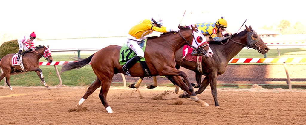 Spicer Cub rallies furiously after bolting in a Pimlico maiden race in April 2013. Photo by Jim McCue, Maryland Jockey Club.