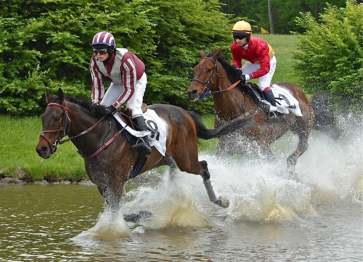 Maryland-bred steeplechase bonuses offered