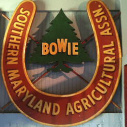 Old-school Bowie logo.