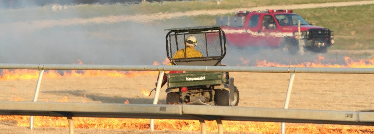 Hot Stuff!  Colonial Downs sets turf course aflame — for safety