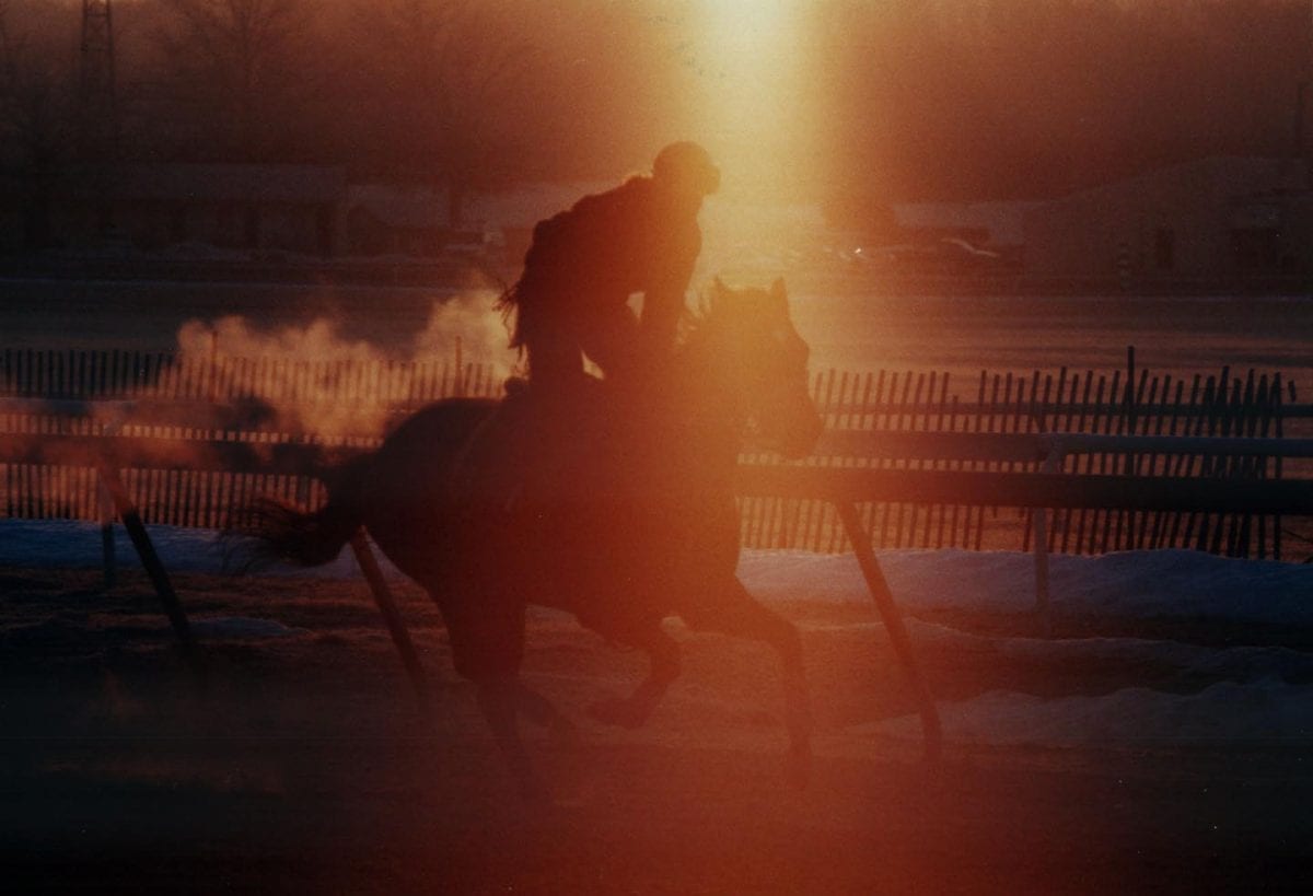 T-shirt “scam” targets Thoroughbred retirement programs