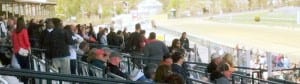 A happy crowd of Decanterers watches the races at Pimlico.