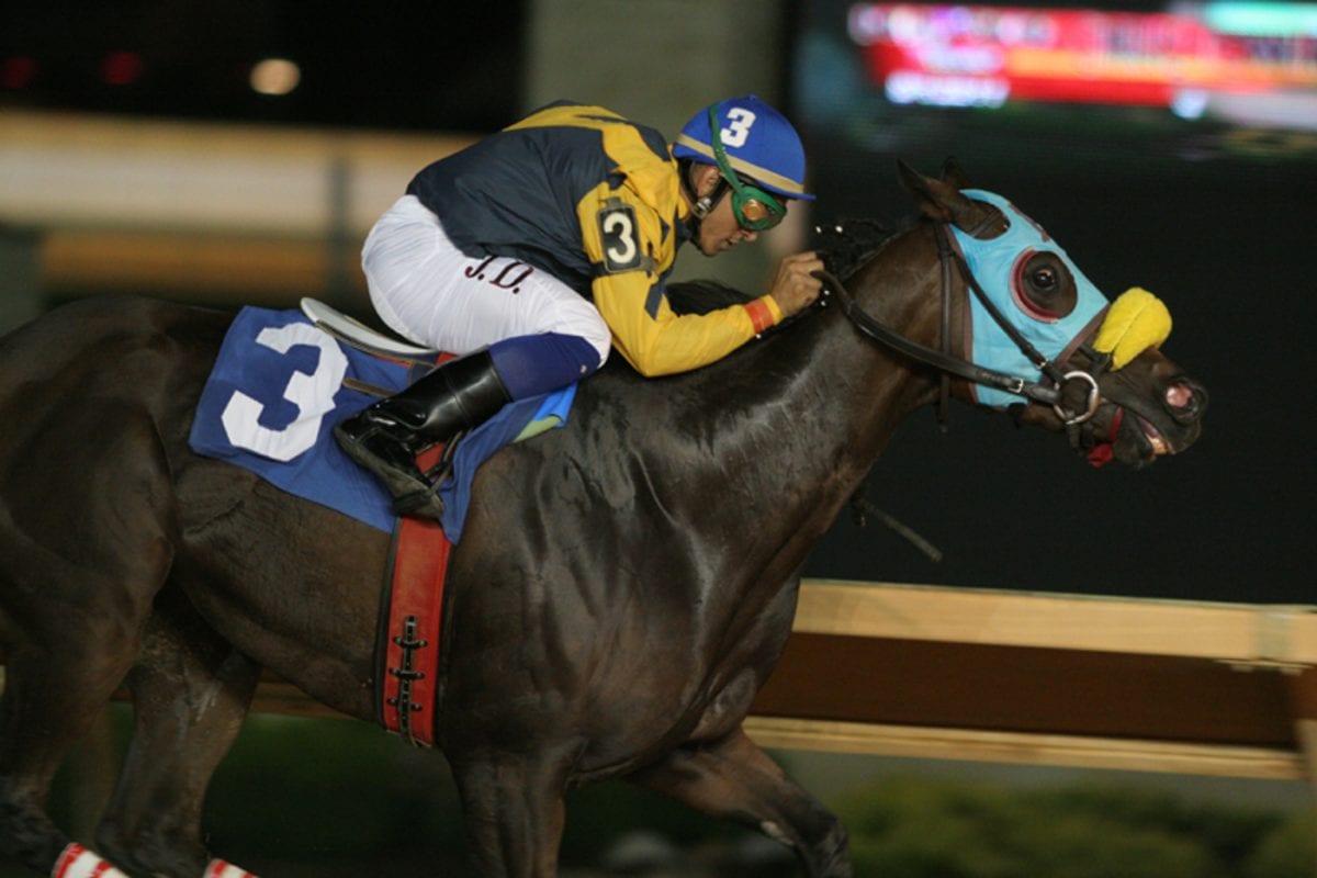 Featured Race: Handicapping Delaware 6, or Toss the Canoli