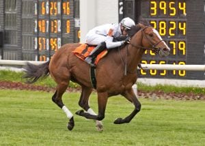 General Election, ranked seventh on the Turf 10,  takes the Arlington Classic..  Photo by Four-footed Photos.