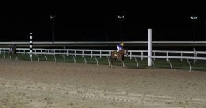 Back before she was an Oaks winner, Princess of Sylmar broke her maiden against PA-breds at Penn National -- literally, in this case, by a pole.  Photo by B & D Photography.