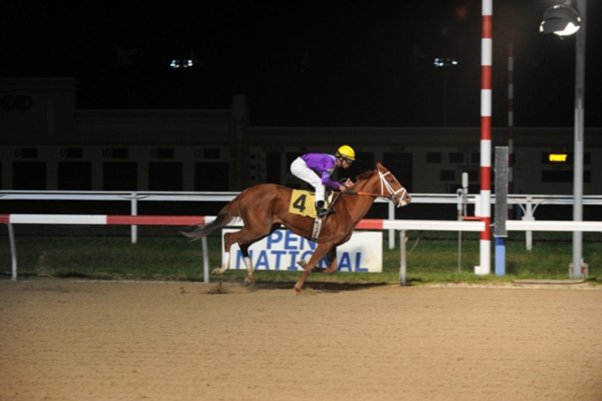 Midlantic horses make a splash in Louisville