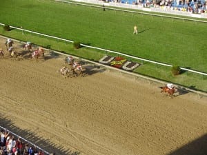 Big Brown - here, winning the Preakness - is one of many recent Triple Crown runners with turf experience.  Nick Hahn photo.