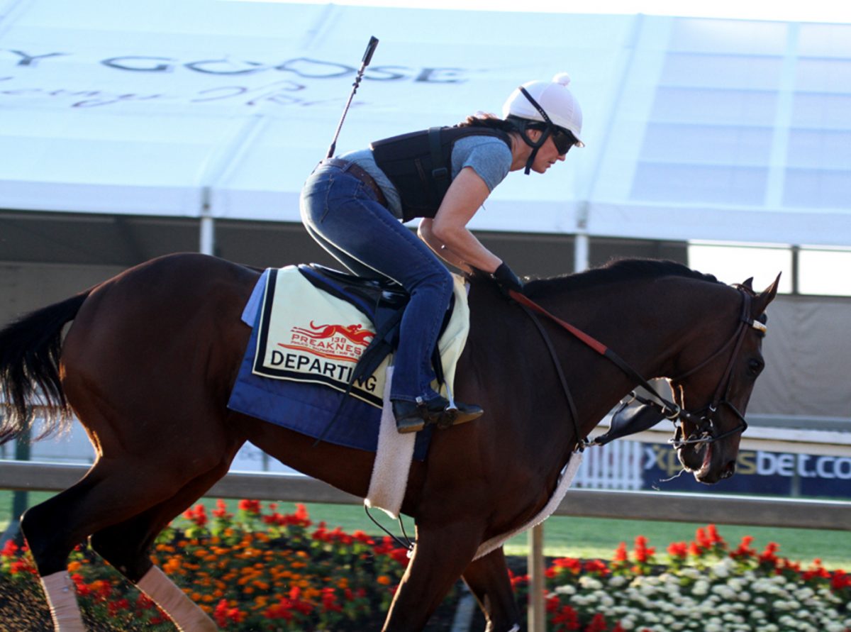 Blue, the pretty lucky Preakness pony (video)