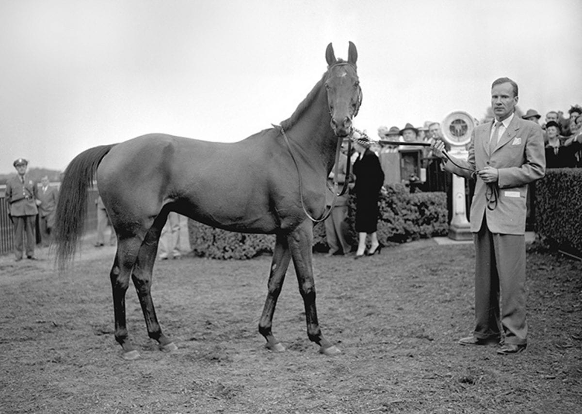 Maryland Thoroughbred Hall of Fame Inductees: Cigar and Elkridge