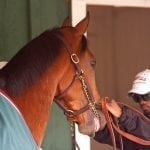 Media Eclipse Award winners announced