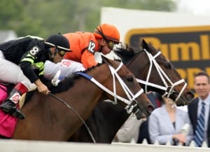 Heros Reward inches clear to win the 2008 Turf Sprint at Pimlico.  This photo, and feature image, by Laurie Asseo.