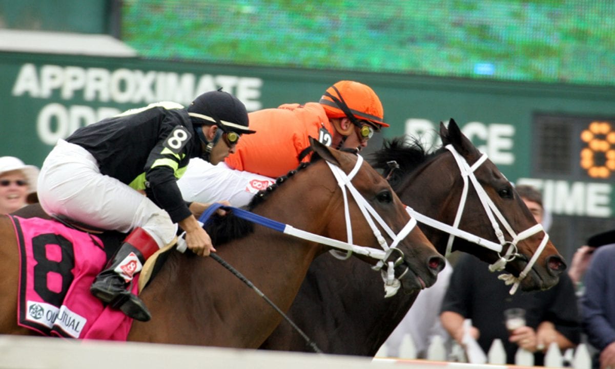 Featured race: Handicapping Penn, or System plays